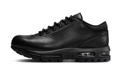 Nike Air Max Goadome Low Black