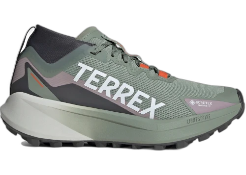 adidas Terrex Agravic Gore-Tex Trail Silver Green Cloud White Preloved Fig (Women's)
