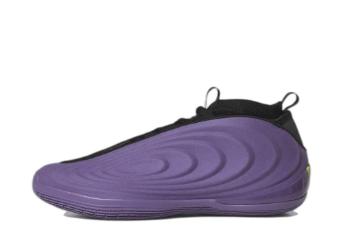 adidas Harden Vol. 10 Matte Purple (Signed by James Harden) (Size 9)