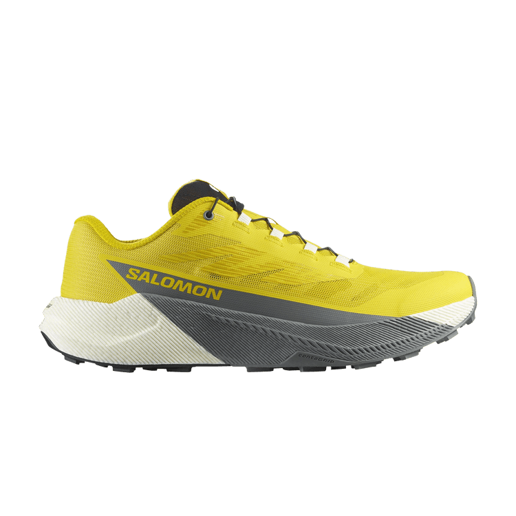 Salomon Pulsar Incaberry Sedona Sage