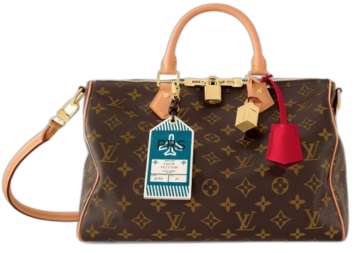 Louis Vuitton Speedy Soft 30 Crafty