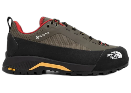 The North Face Verto Alpine Gore-Tex Taupe Green Summit Go