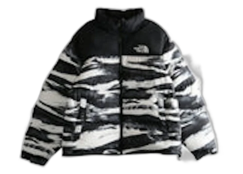 The North Face 1996 Retro Nuptse Print Jacket Multi