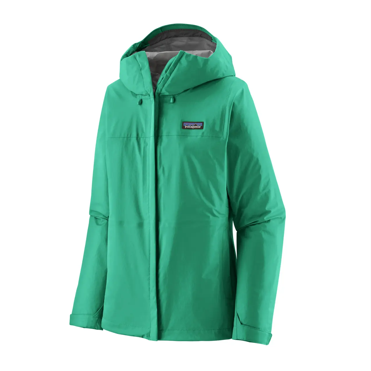 Patagonia Chubasquero Torrentshell 3L