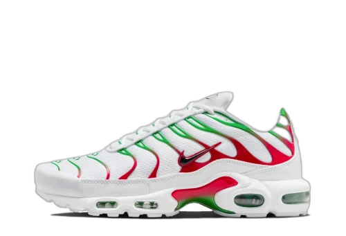 Nike Air Max Plus Italy
